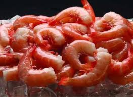 قیمت میگو صادراتی بوشهر + خرید باور نکردنی